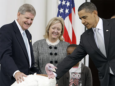 Even Presidential Pardon Cant Save These Turkeys